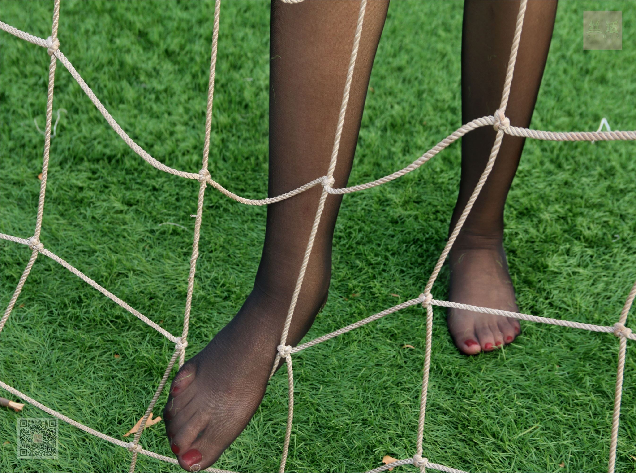 SiHua思话  SH008 子琦 学而丝